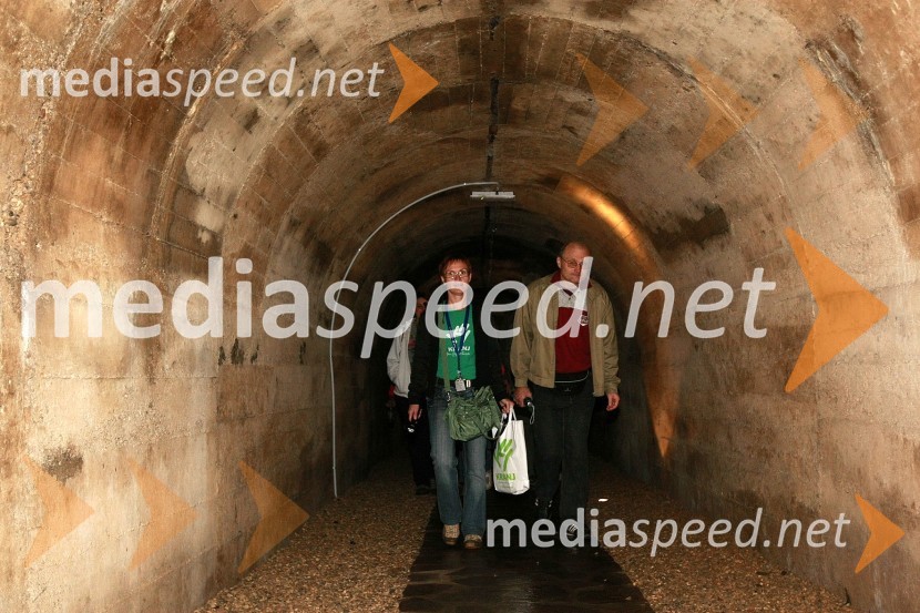 Dan Univerze v Mariboru in 50 let Fakultete za organizacijske vede Kranj