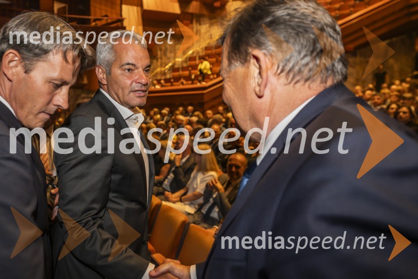  Aleksander Saša Arsenovič, župan, Mestna občina MariborUniverza v Mariboru odlikovana z redom za zasluge