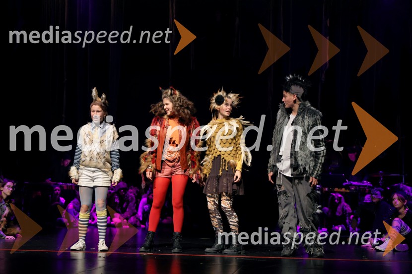 Lisičja luna, premiera mladinske opere v Cankarjevem domu