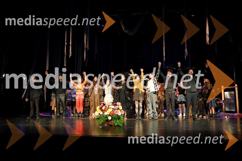 Lisičja luna, premiera mladinske opere v Cankarjevem domu