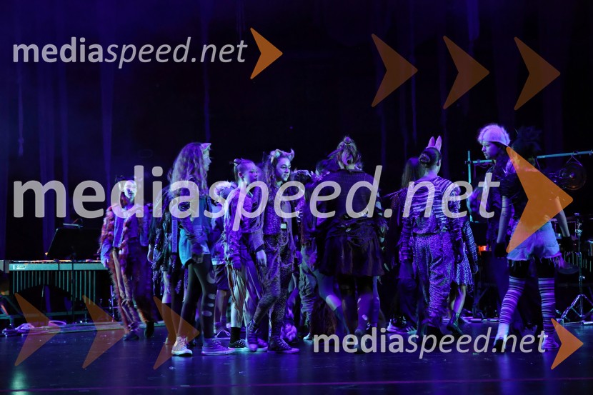 Lisičja luna, premiera mladinske opere v Cankarjevem domu