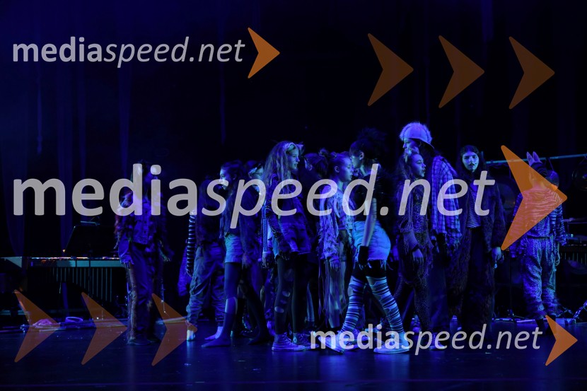 Lisičja luna, premiera mladinske opere v Cankarjevem domu