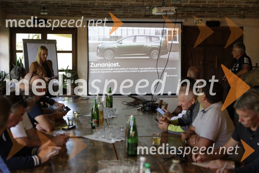 Hyundai IONIQ 9, vstop na slovenski trg