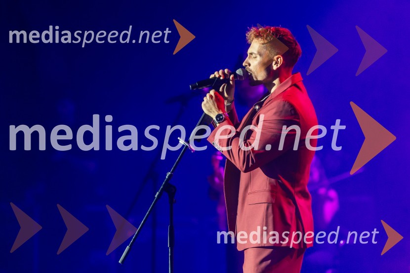  Žan Serčič, glasbenikŽan Serčič - 15 let navdiha