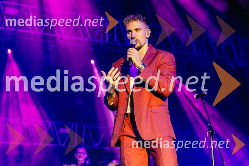  Žan Serčič, glasbenikŽan Serčič - 15 let navdiha