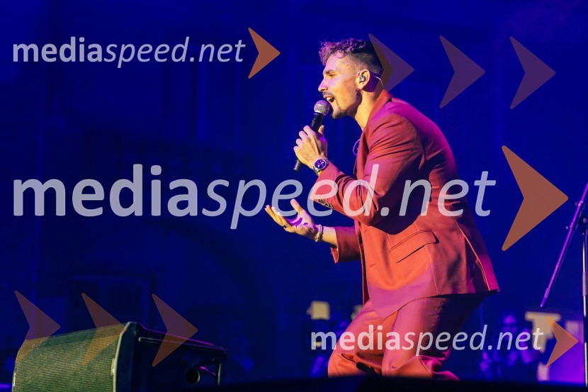  Žan Serčič, glasbenikŽan Serčič - 15 let navdiha