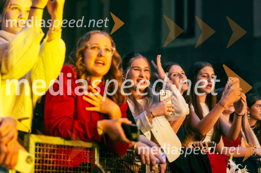 Žan Serčič - 15 let navdiha