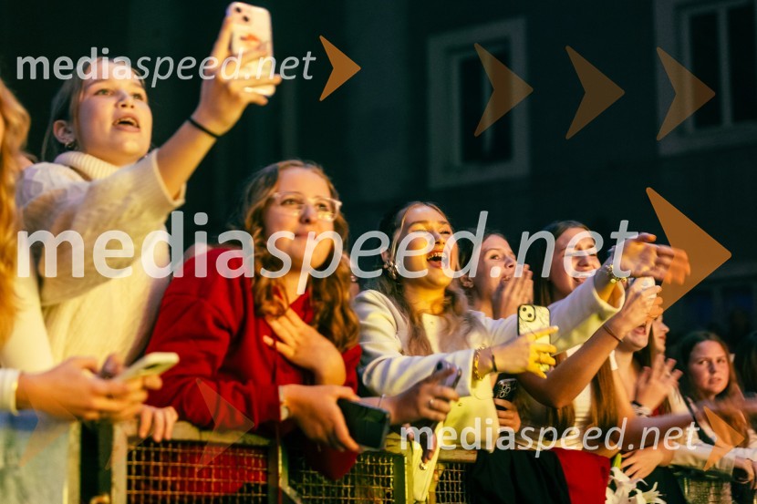 Žan Serčič - 15 let navdiha