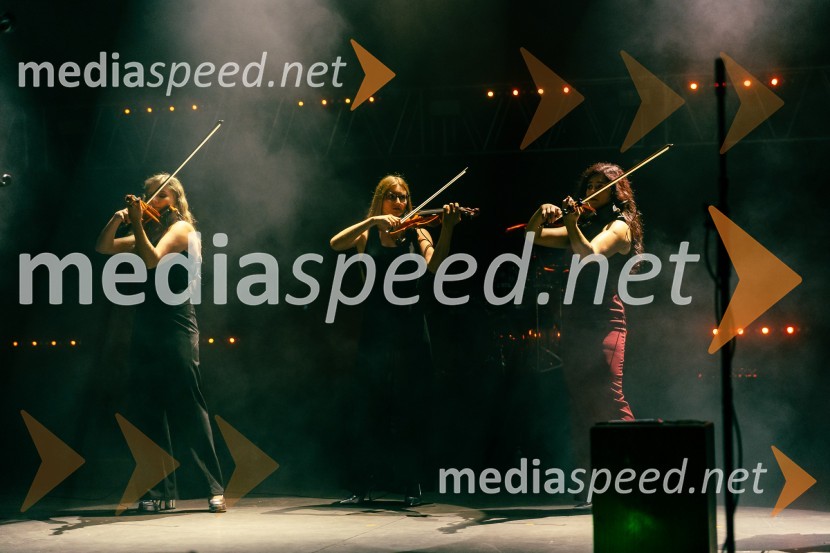 Žan Serčič - 15 let navdiha