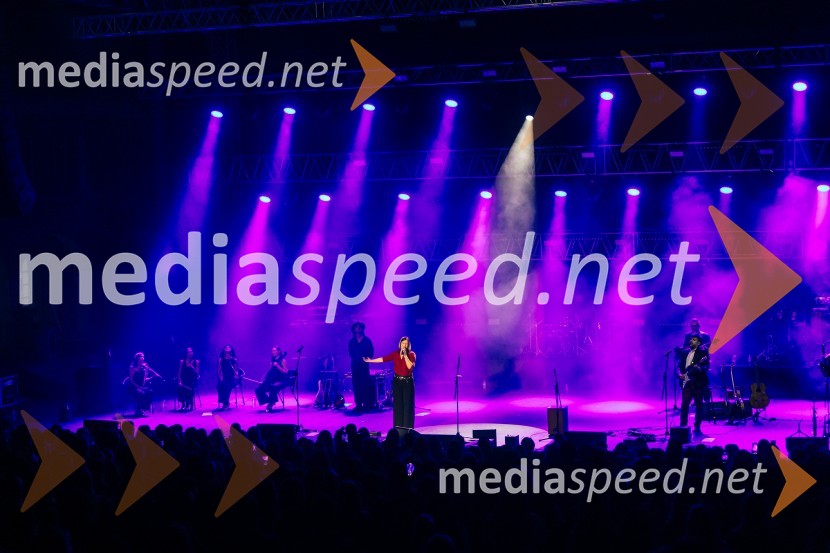 Žan Serčič - 15 let navdiha