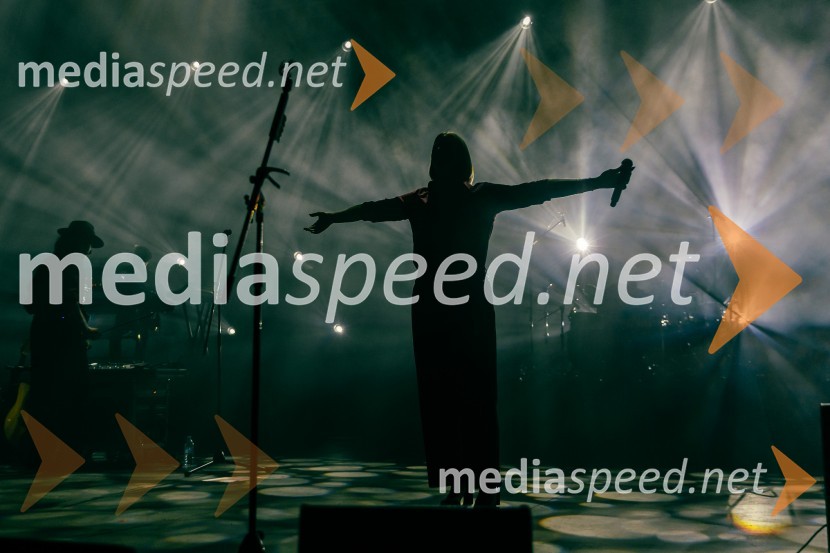 Žan Serčič - 15 let navdiha