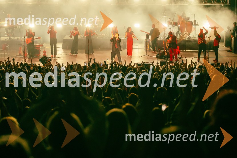 Žan Serčič - 15 let navdiha