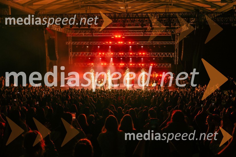 Žan Serčič - 15 let navdiha