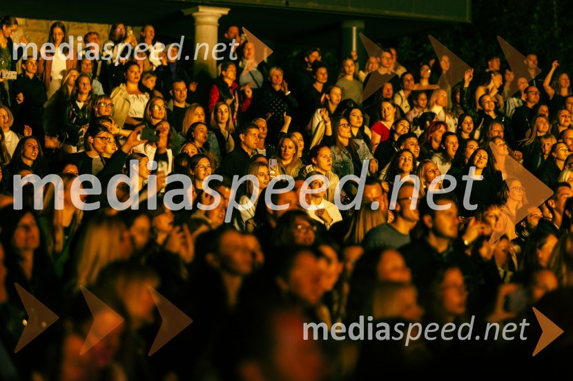 Žan Serčič - 15 let navdiha