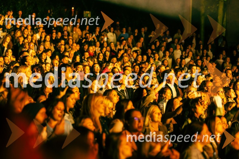 Žan Serčič - 15 let navdiha