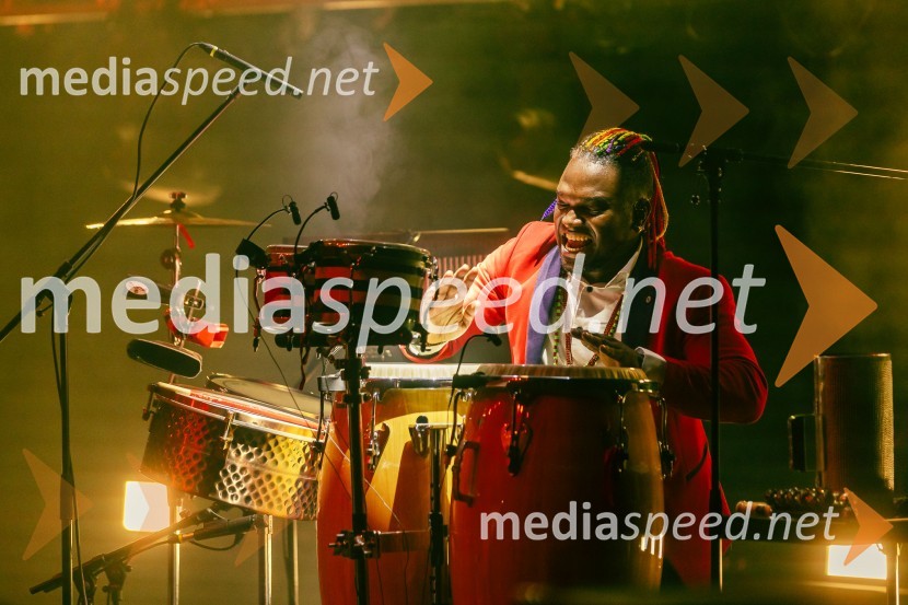 Žan Serčič - 15 let navdiha