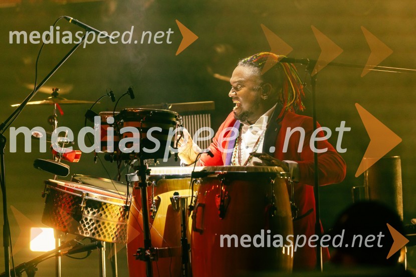 Žan Serčič - 15 let navdiha