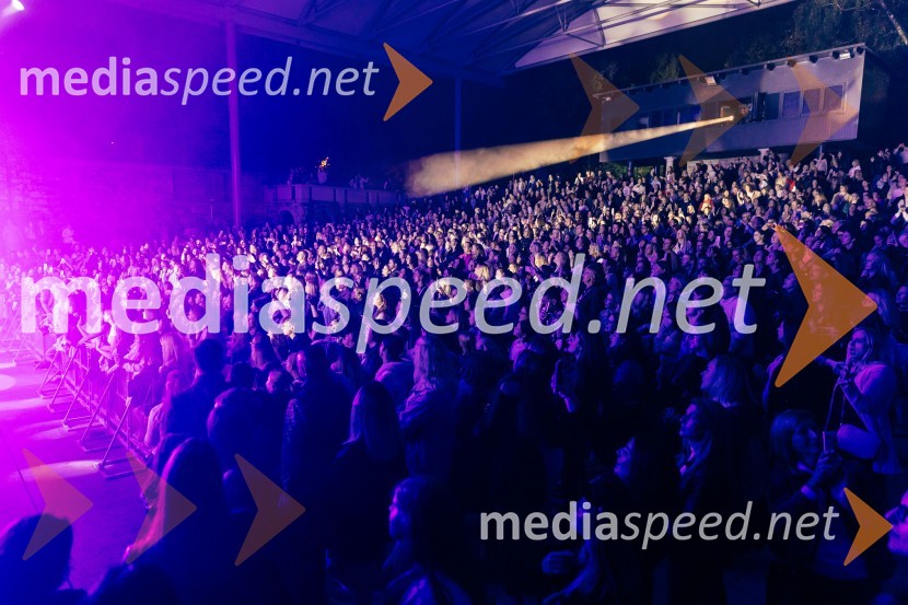 Žan Serčič - 15 let navdiha