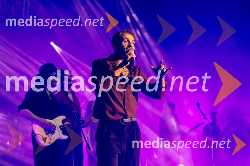 Žan Serčič - 15 let navdiha