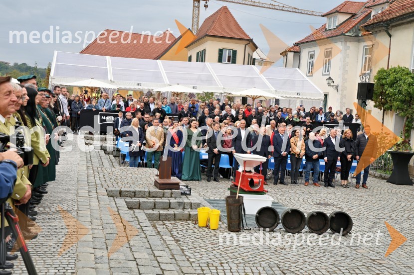 Svečana trgatev najstarejše trte 2025 in razglasitev vinske kraljice