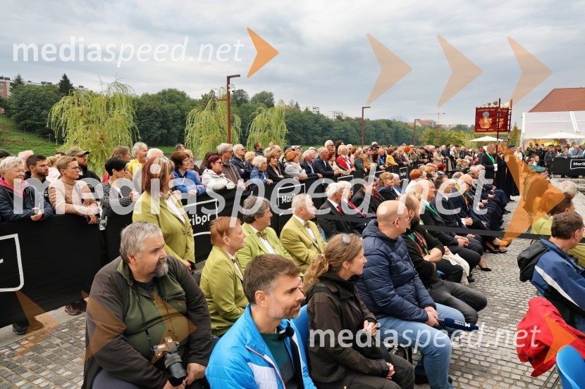 Svečana trgatev najstarejše trte 2025 in razglasitev vinske kraljice