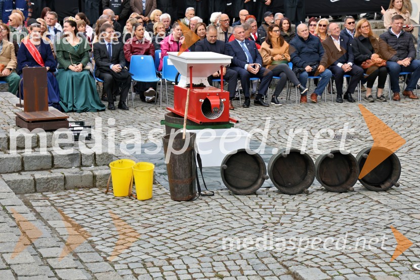 Svečana trgatev najstarejše trte 2025 in razglasitev vinske kraljice