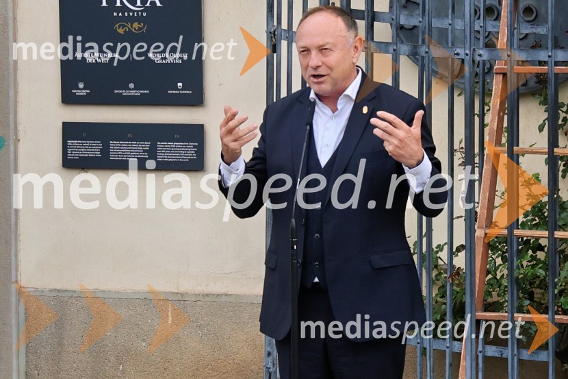  Stane Kocutar, mestni viničar, skrbnik Stare trte, novinar Radia Maribor, zgodovinarSvečana trgatev najstarejše trte 2025 in razglasitev vinske kraljice