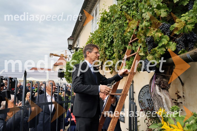 prof. dr. Zdravko Kačič, rektor Univerze v MariboruSvečana trgatev najstarejše trte 2025 in razglasitev vinske kraljice