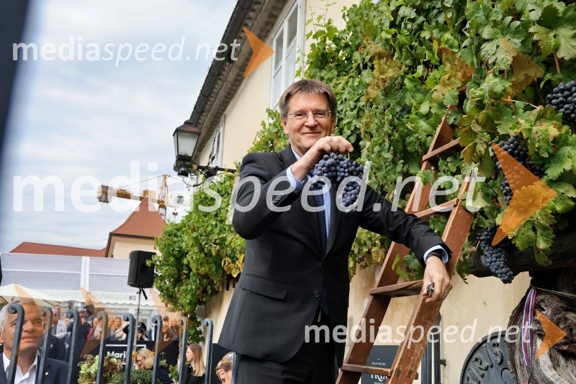 prof. dr. Zdravko Kačič, rektor Univerze v MariboruSvečana trgatev najstarejše trte 2025 in razglasitev vinske kraljice
