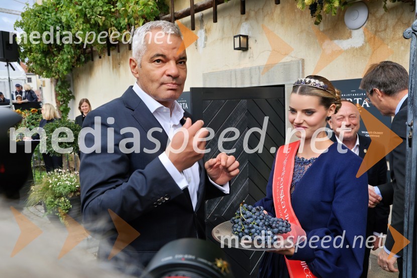  Aleksander Saša Arsenovič, župan, Mestna občina Maribor;  Maruša Mukenauer, Vina Mukenauer, Mariborska vinska kraljica 2023 - 2025;  Stane Kocutar, mestni viničar, skrbnik Stare trte, novinar Radia Maribor, zgodovinarSvečana trgatev najstarejše trte 2025 in razglasitev vinske kraljice