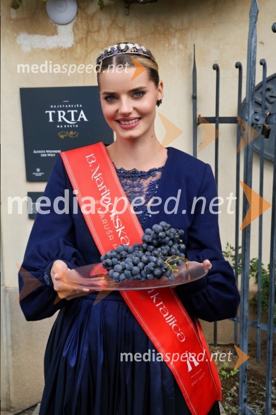  Maruša Mukenauer, Vina Mukenauer, Mariborska vinska kraljica 2023 - 2025Svečana trgatev najstarejše trte 2025 in razglasitev vinske kraljice