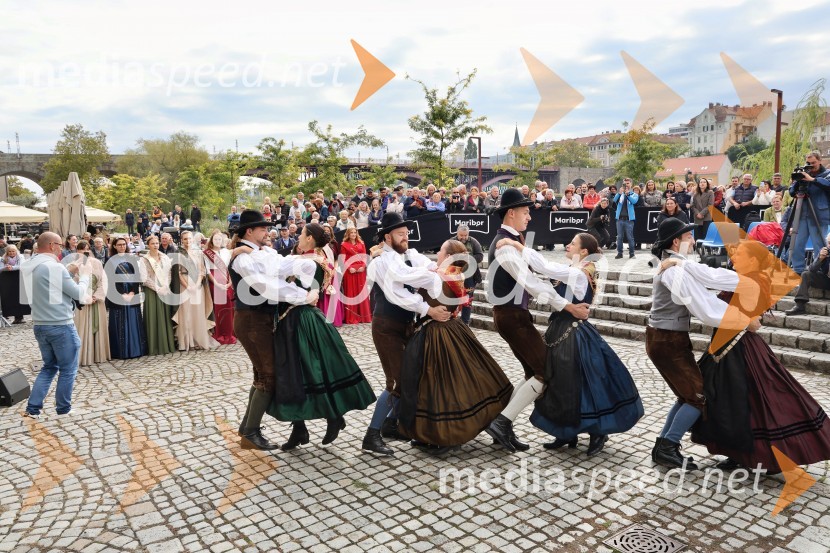 Svečana trgatev najstarejše trte 2025 in razglasitev vinske kraljice