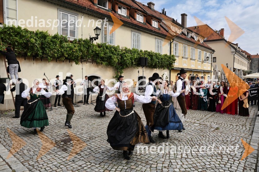 Svečana trgatev najstarejše trte 2025 in razglasitev vinske kraljice