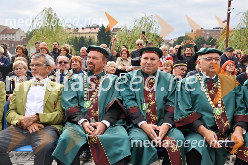 Svečana trgatev najstarejše trte 2025 in razglasitev vinske kraljice