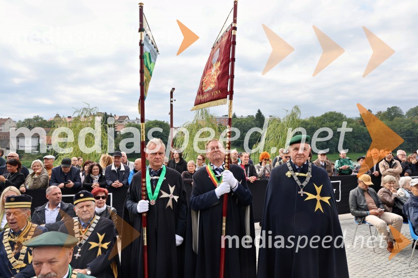 Svečana trgatev najstarejše trte 2025 in razglasitev vinske kraljice