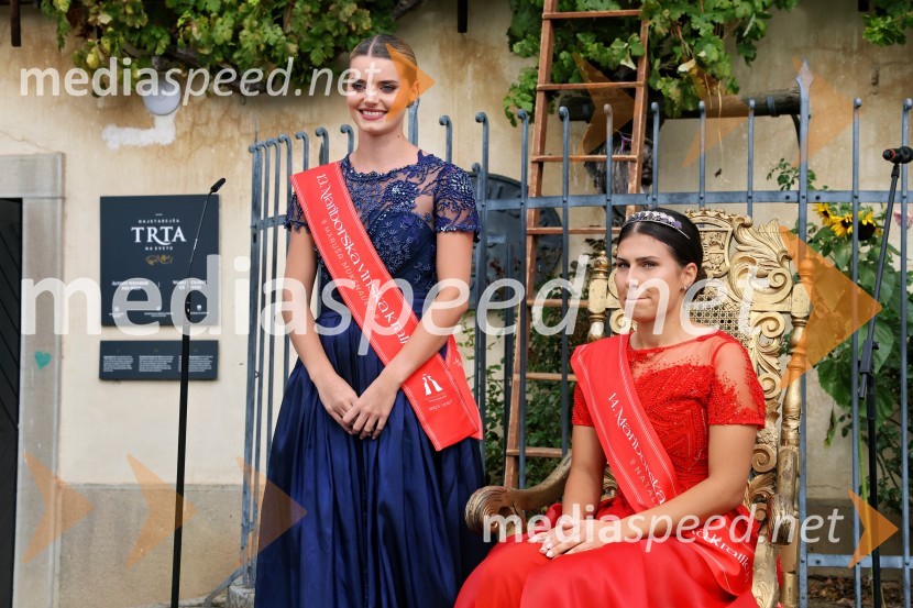  Maruša Mukenauer, Vina Mukenauer, Mariborska vinska kraljica 2023 - 2025;  Natalija Ploj, Mariborska vinska kraljica 2025Svečana trgatev najstarejše trte 2025 in razglasitev vinske kraljice