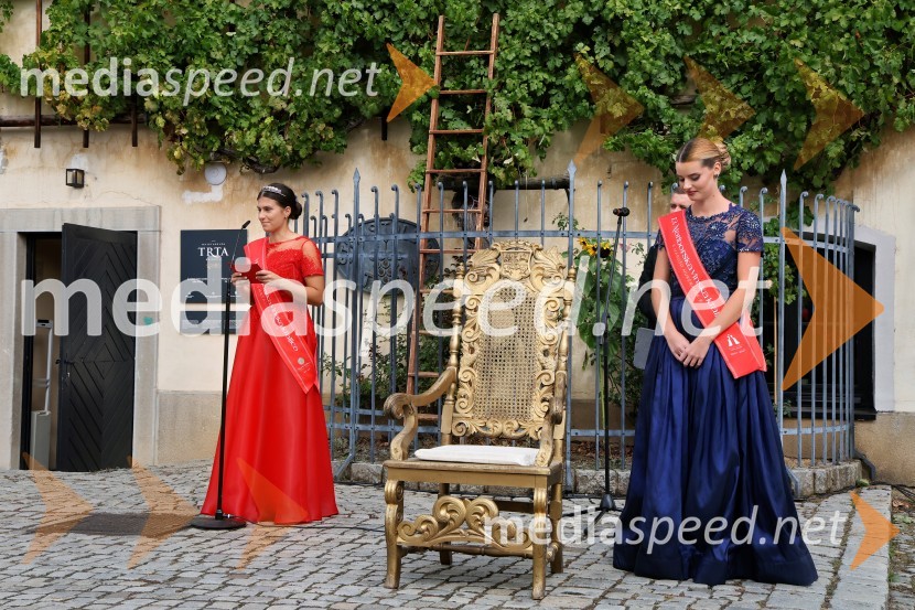 Svečana trgatev najstarejše trte 2025 in razglasitev vinske kraljice