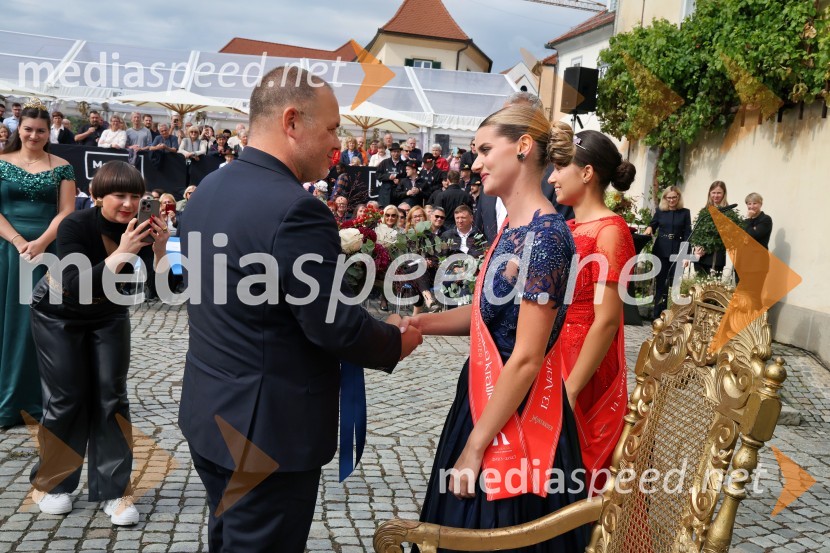 Svečana trgatev najstarejše trte 2025 in razglasitev vinske kraljice