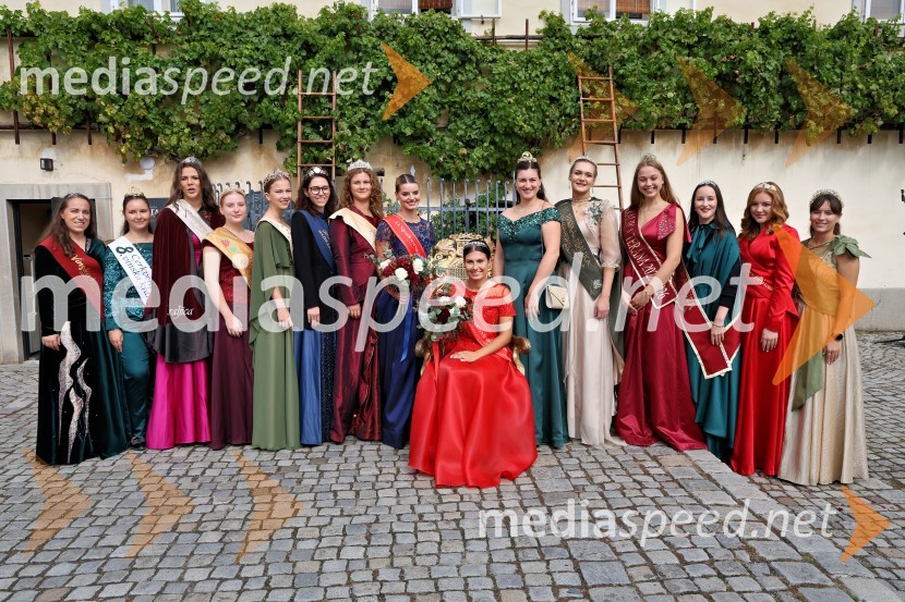 Svečana trgatev najstarejše trte 2025 in razglasitev vinske kraljice