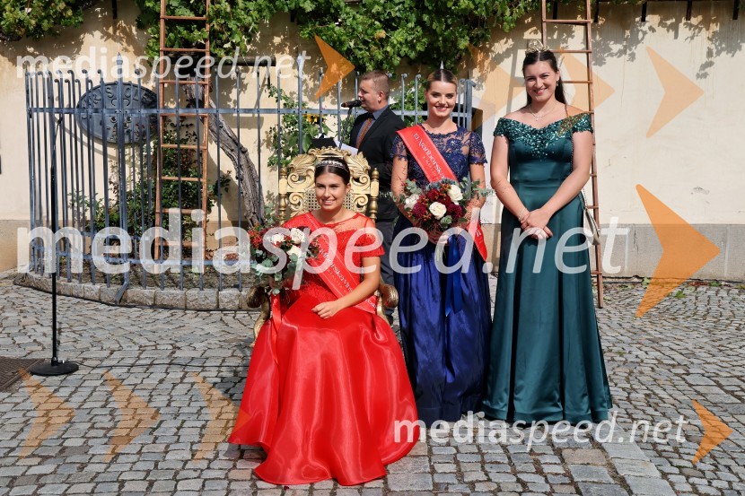  Natalija Ploj, Mariborska vinska kraljica 2025;  Maruša Mukenauer, Vina Mukenauer, Mariborska vinska kraljica 2023 - 2025;  Nina  Polanec, 28. Vinska kraljica Slovenije 2025Svečana trgatev najstarejše trte 2025 in razglasitev vinske kraljice