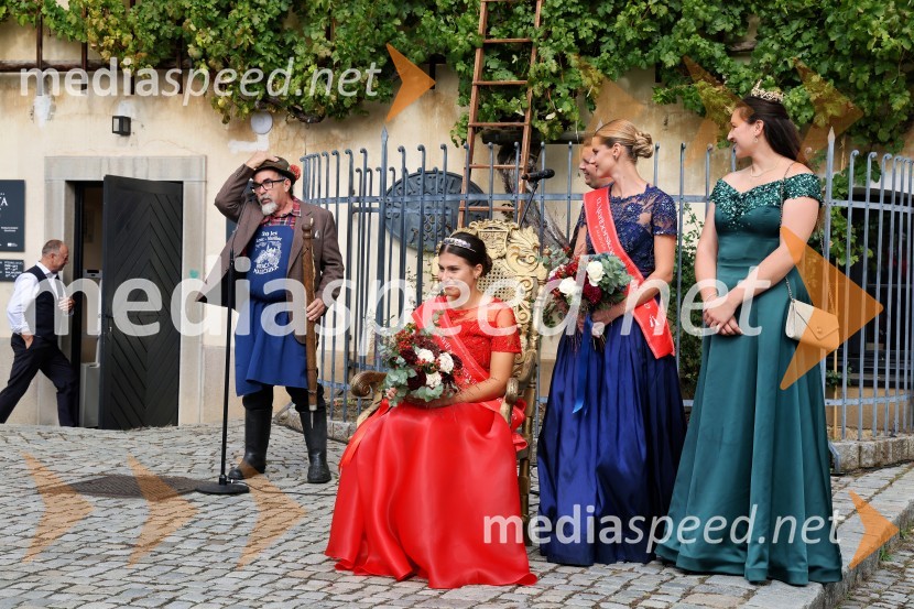 Svečana trgatev najstarejše trte 2025 in razglasitev vinske kraljice