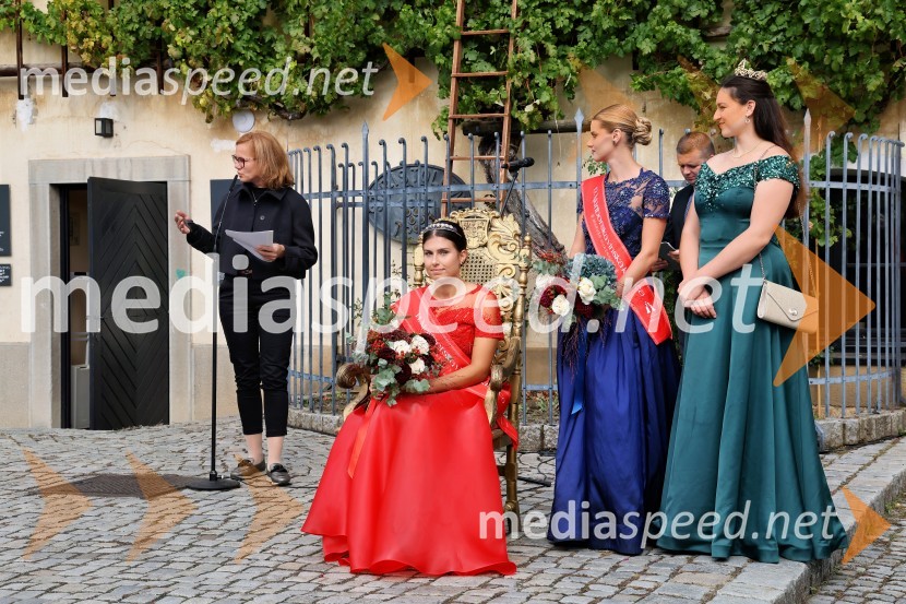 Svečana trgatev najstarejše trte 2025 in razglasitev vinske kraljice