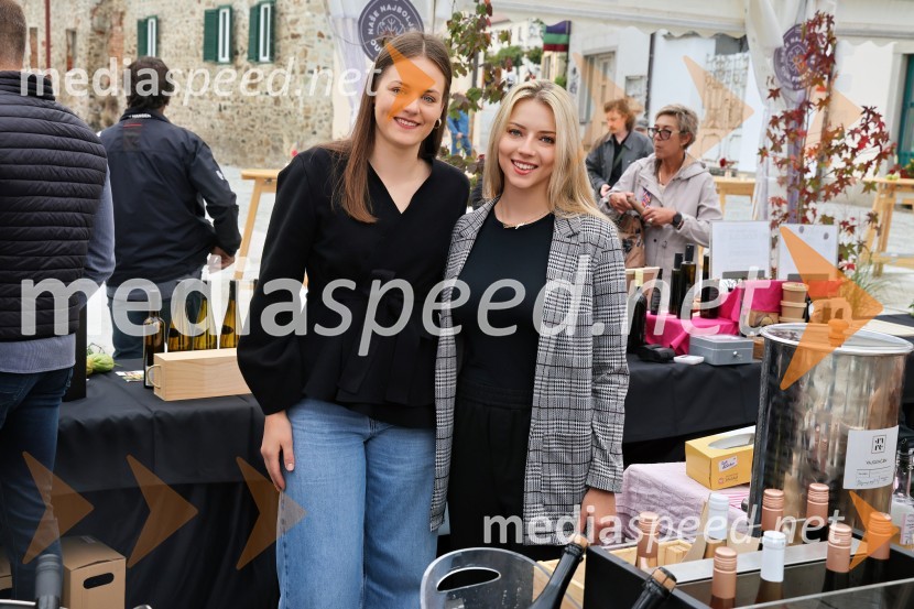 Svečana trgatev najstarejše trte 2025 in razglasitev vinske kraljice