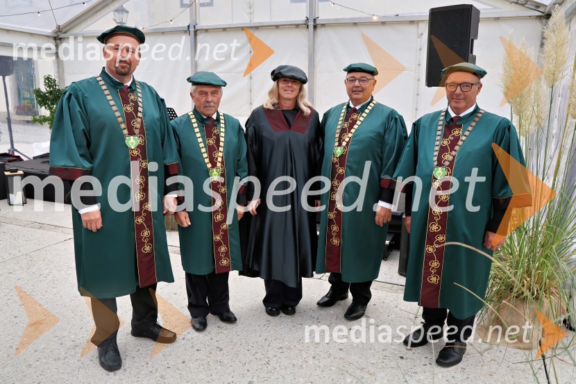 Svečana trgatev najstarejše trte 2025 in razglasitev vinske kraljice