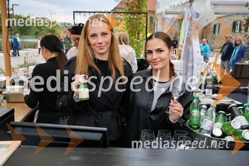 Svečana trgatev najstarejše trte 2025 in razglasitev vinske kraljice