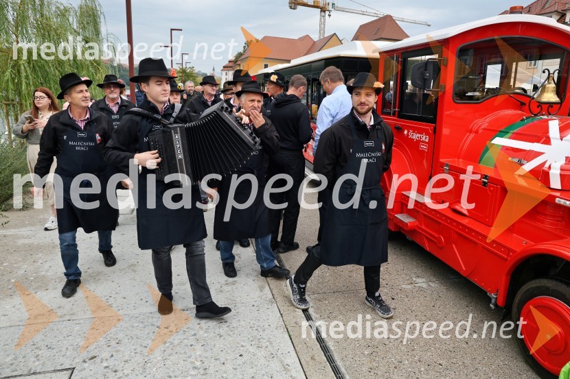 Svečana trgatev najstarejše trte 2025 in razglasitev vinske kraljice