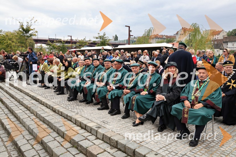 Svečana trgatev najstarejše trte 2025 in razglasitev vinske kraljice
