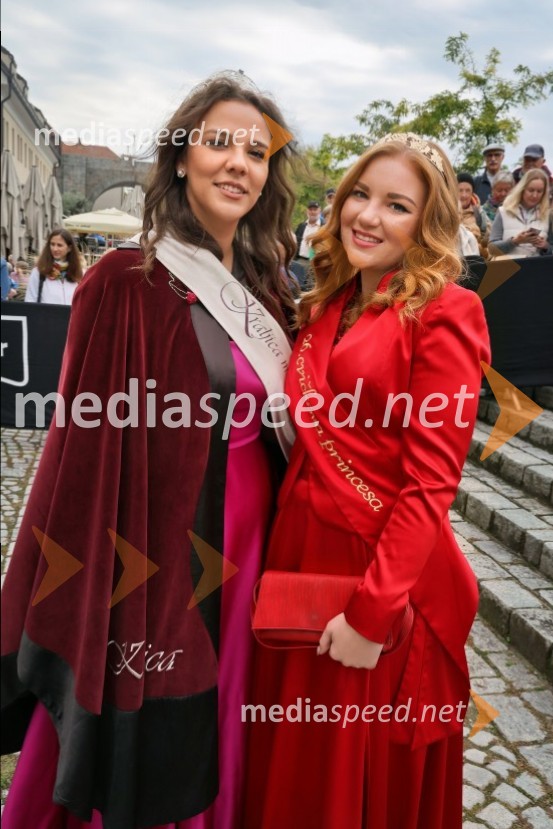 Svečana trgatev najstarejše trte 2025 in razglasitev vinske kraljice