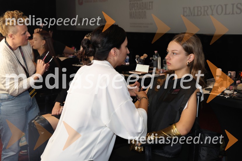 Makeup Mastery Slovenija