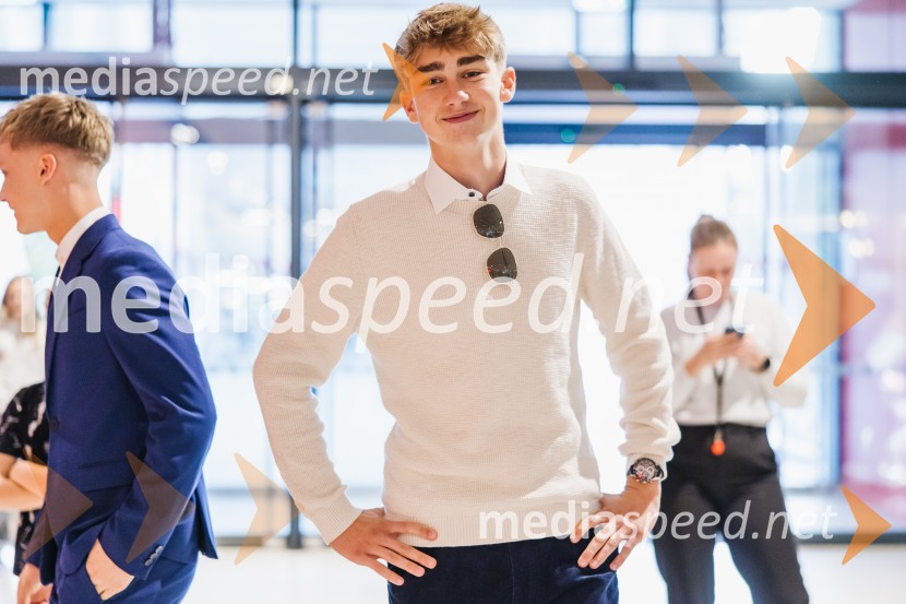  Peter  Perme, igralec;  ... Elvis Škorc, zgodba o fantu, ki svet vidi po svoje, premiera